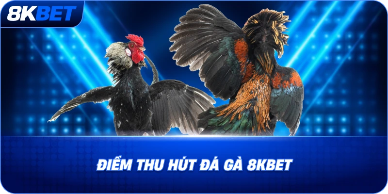 diem-thu-hut-da-ga-8kbet
