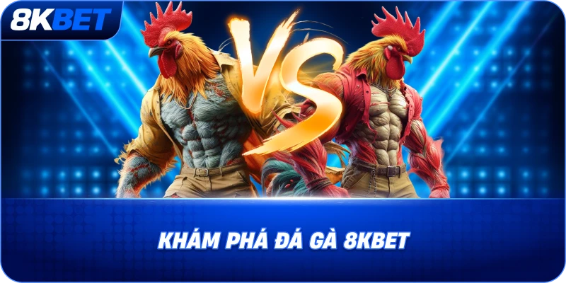 kham-pha-da-ga-8kbet