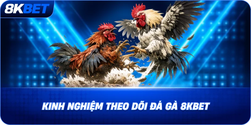 kinh-nghiem-theo-doi-da-ga-8kbet